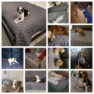 Couverture pour chien - Couverture chien impermeable - Sentier | Réversible - Vivre avec son chien