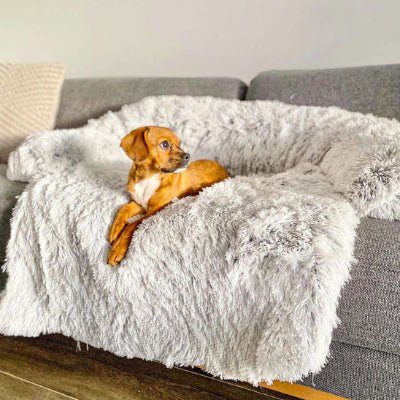 Lit pour chien - Lit pour chien - Le Pelucheux | Confort doux - Vivre avec son chien