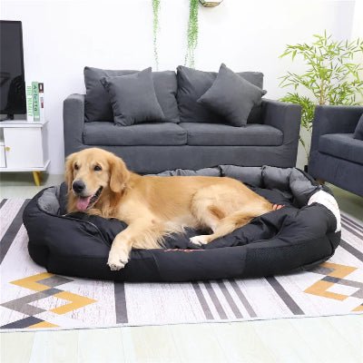 Panier chien - Ăquinoxe - Vivre avec son chien