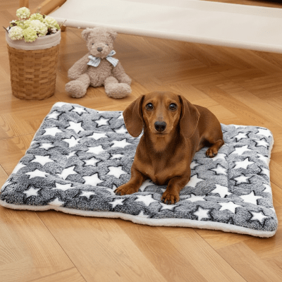 tapis chien - Tapis pour chien - Confort | Douceur lavable - Vivre avec son chien