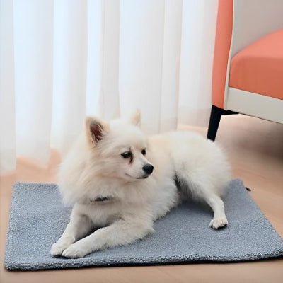tapis chien - Tapis pour chien - Doux Confort | Peluche antidérapante - Vivre avec son chien