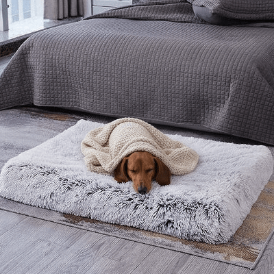 Tapis pour chien - Tapis pour chien - Le Soutien Plus | Confort épais - Vivre avec son chien