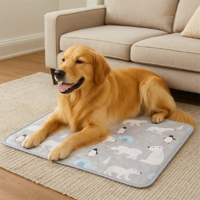 Tapis rafraichissant chien - Tapis rafraichissant pour chien - Cryo | Confort d’été - Vivre avec son chien