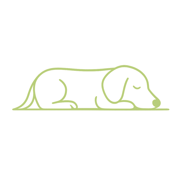 Vivre avec son chien