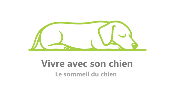 Vivre avec son chien