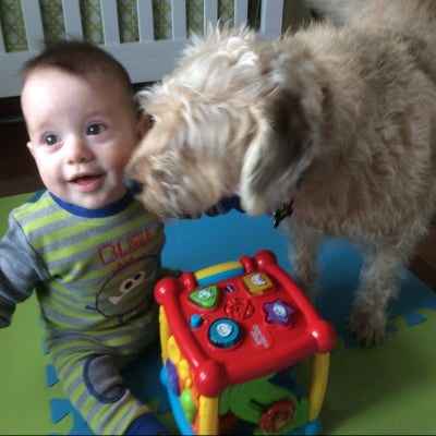 boris chienaffectueux partage moment-tendre avec bebe