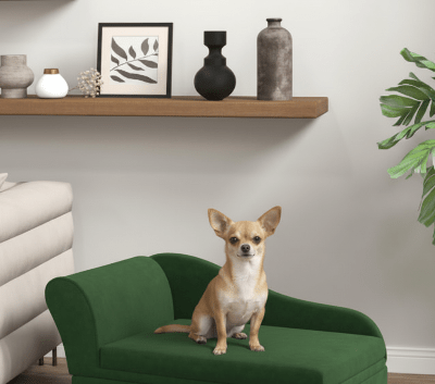 Canapé pour chien - Canapé chien - Le Crépuscule | Méridienne chic - Vivre avec son chien