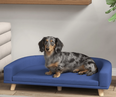 Canapé - Canapé chien - Luna | Confort design - Vivre avec son chien