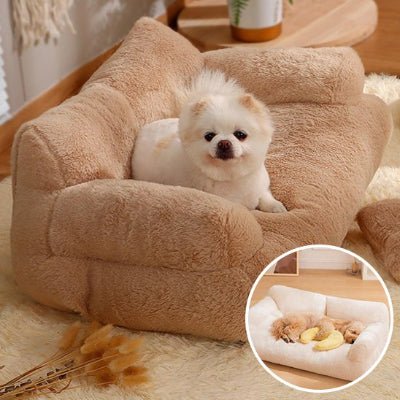 Canapé pour chien - Canapé petit chien - Douillet | Effet peluche - Vivre avec son chien