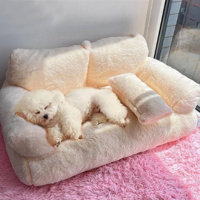 Canapé pour chien - Canapé petit chien - Douillet | Effet peluche - Vivre avec son chien