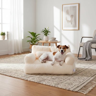 Canapé pour chien - Canapé petit chien - Douillet | Effet peluche - Vivre avec son chien