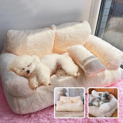 Canapé pour chien - Canapé petit chien - Douillet | Effet peluche - Vivre avec son chien