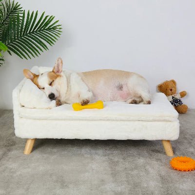 Canapé pour chien - Loft - Vivre avec son chien