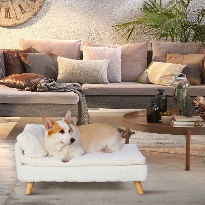 Canapé pour chien - Loft - Vivre avec son chien