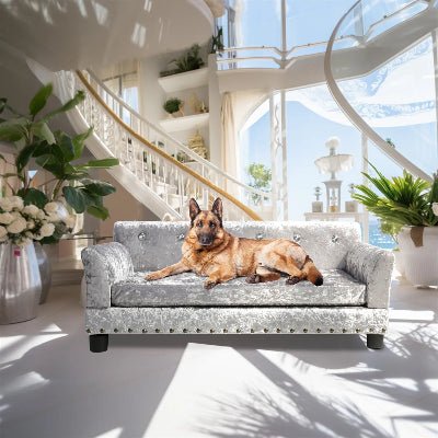 Canapé pour chien - Récamier - Vivre avec son chien