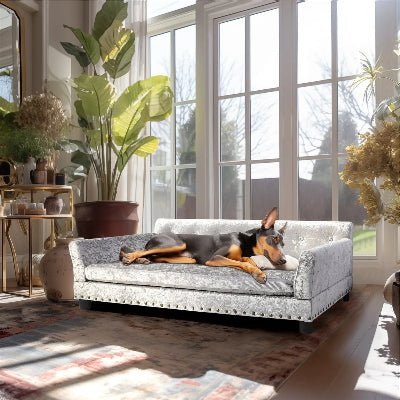 Canapé pour chien - Récamier - Vivre avec son chien