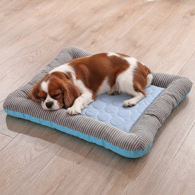 Tapis rafraichissant chien - Chien tapis rafraichissant - Vent du Nord | Effet glace - Vivre avec son chien