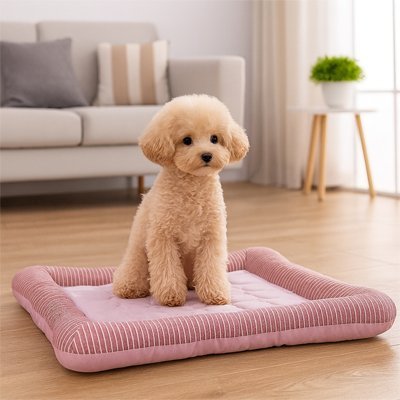 Tapis rafraichissant chien - Chien tapis rafraichissant - Vent du Nord | Effet glace - Vivre avec son chien