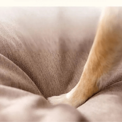 Coussin chien dehoussable - Orée - Vivre avec son chien