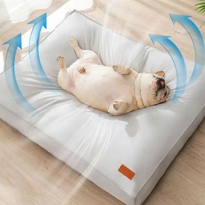 Coussin chien dehoussable - Orée - Vivre avec son chien