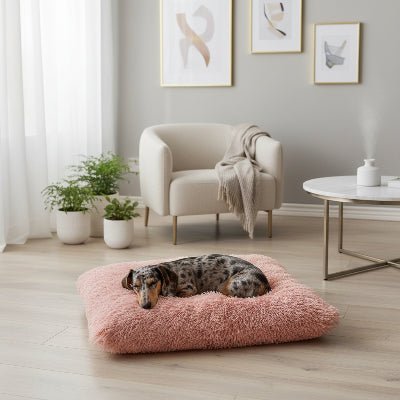 coussin pour chien - Coussin chien - Havre | Confort Douillet - Vivre avec son chien