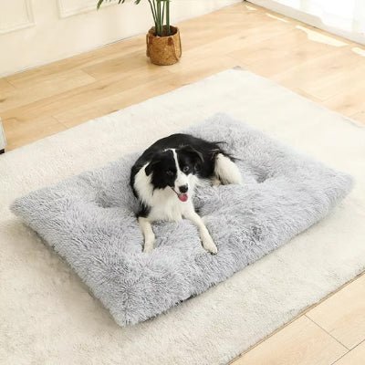 coussin pour chien - Coussin chien - songe | Confort et bien - être - Vivre avec son chien