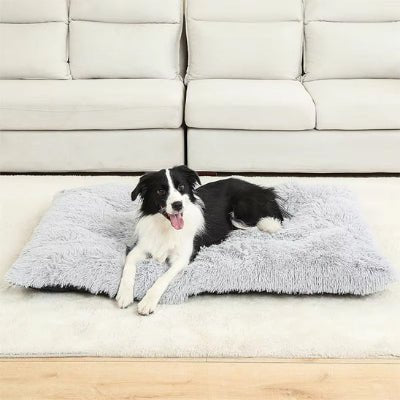 coussin pour chien - Coussin chien - songe | Confort et bien - être - Vivre avec son chien