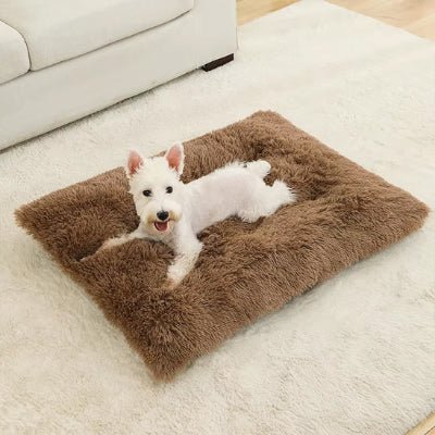 coussin pour chien - Coussin chien - songe | Confort et bien - être - Vivre avec son chien