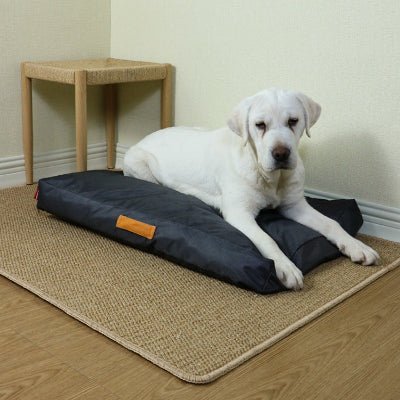 coussin pour chien - coussin chien - Terrain | Imperméable Lavable - Vivre avec son chien
