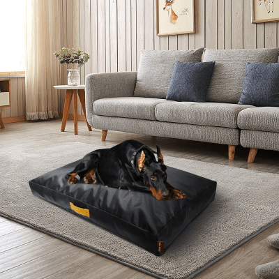 coussin pour chien - coussin chien - Terrain | Imperméable Lavable - Vivre avec son chien