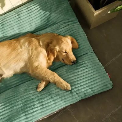 Coussin déhoussable pour chien - Fjord - Vivre avec son chien