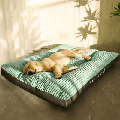 Coussin déhoussable pour chien - Fjord - Vivre avec son chien