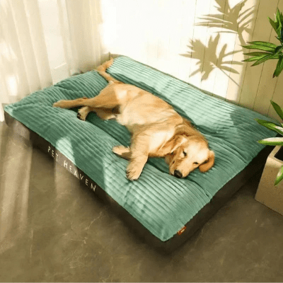 Coussin déhoussable pour chien - Fjord - Vivre avec son chien