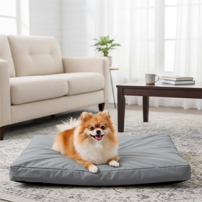 coussin pour chien - Coussin pour Chien - Protection Quotidienne | Résistant - Vivre avec son chien