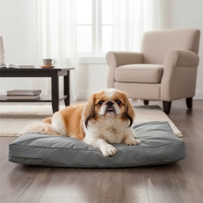 coussin pour chien - Coussin pour Chien - Protection Quotidienne | Résistant - Vivre avec son chien