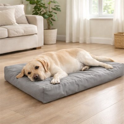 coussin pour chien - Coussin pour Chien - Protection Quotidienne | Résistant - Vivre avec son chien