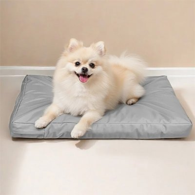 coussin pour chien - Coussin pour Chien - Protection Quotidienne | Résistant - Vivre avec son chien