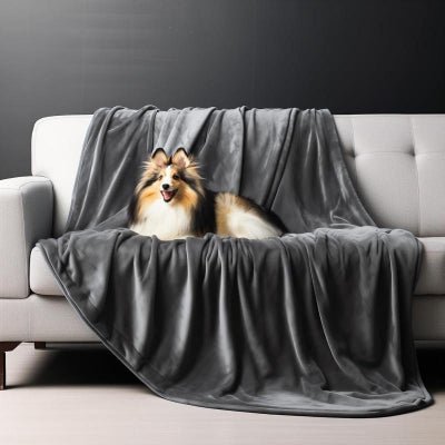 Couverture pour chien - Couverture chien impermeable - ChienProtect | Essentielle - Vivre avec son chien