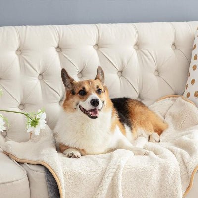 Couverture pour chien - Couverture chien impermeable - TriplePro | 3 couches - Vivre avec son chien