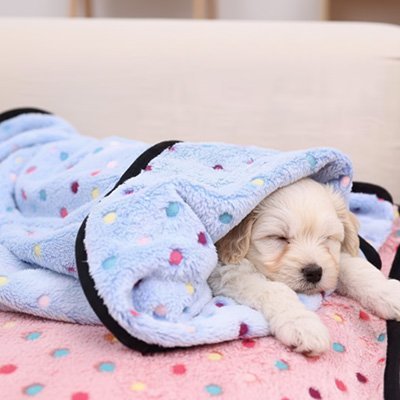 Couverture pour chien - Couverture pour chien - Câlin | Ultra - douce - Vivre avec son chien