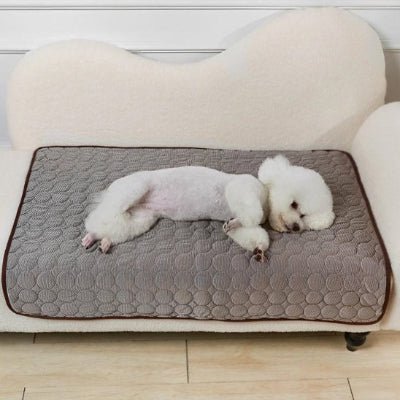 couverture rafraichissante chien - Couverture rafraichissante chien - Givre | Fraîcheur estivale - Vivre avec son chien