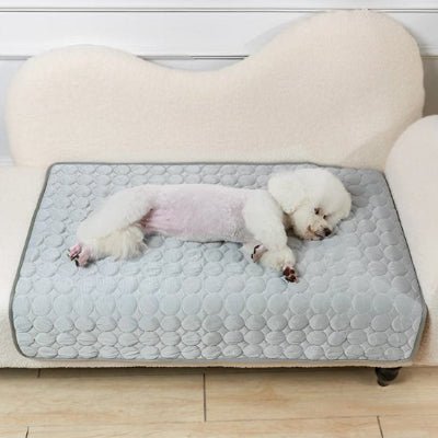 couverture rafraichissante chien - Couverture rafraichissante chien - Givre | Fraîcheur estivale - Vivre avec son chien