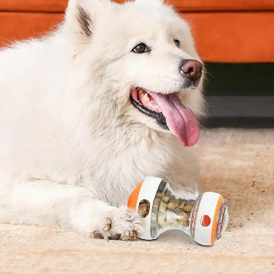 distributeur de croquettes pour chien tournicroq orange