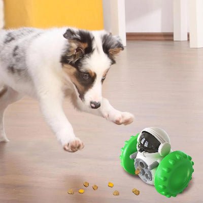 Jouet pour Chien – CroqMobile™ - Vivre avec son chien