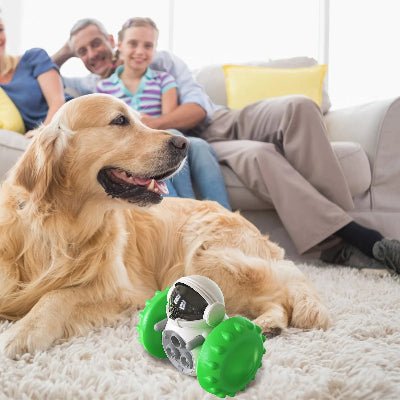 Jouet pour Chien – CroqMobile™ - Vivre avec son chien