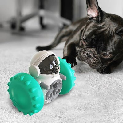 Jouet pour Chien – CroqMobile™ - Vivre avec son chien