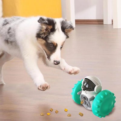 jouet pour chien croqmobile chien joue robot turquoise