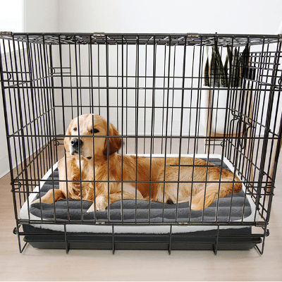 Lit pour chien - Lit chien - Canin Confort | Fini Peluche - Vivre avec son chien