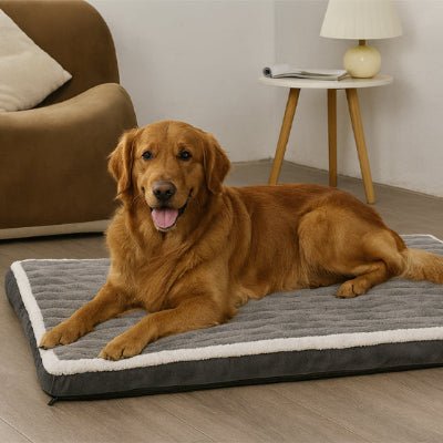 Lit pour chien - Lit chien - Canin Confort | Fini Peluche - Vivre avec son chien