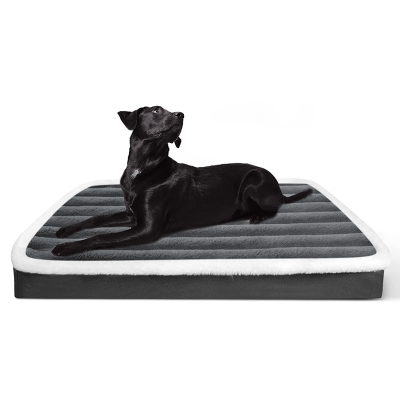 Lit pour chien - Lit chien - Canin Confort | Fini Peluche - Vivre avec son chien